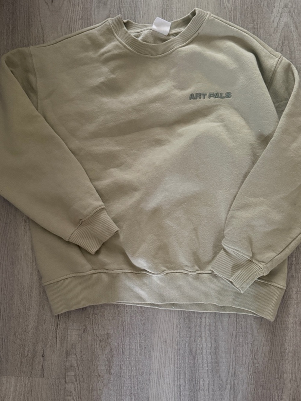 Boys Crewneck Sweatshirt in Sage